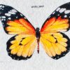 پترن پروانه کد 2217