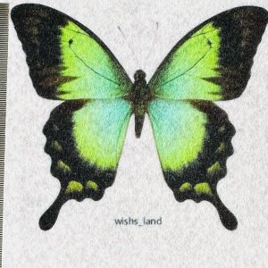پترن پروانه کد 2220